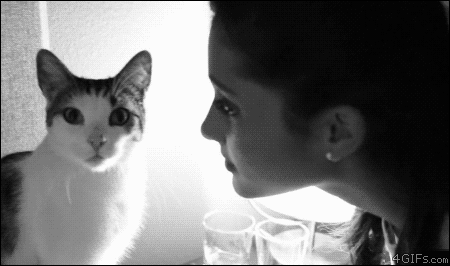 cat_denies_ariana_grande_kiss-1